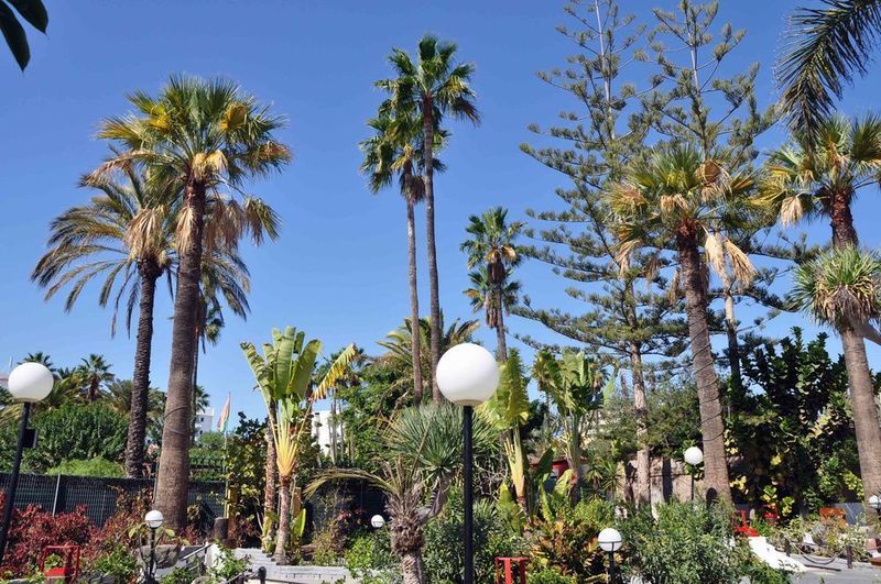 Hotel San Valentin & Terraflor Park Playa del Inglés Zewnętrze zdjęcie