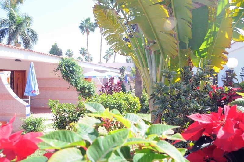 Hotel San Valentin & Terraflor Park Playa del Inglés Zewnętrze zdjęcie