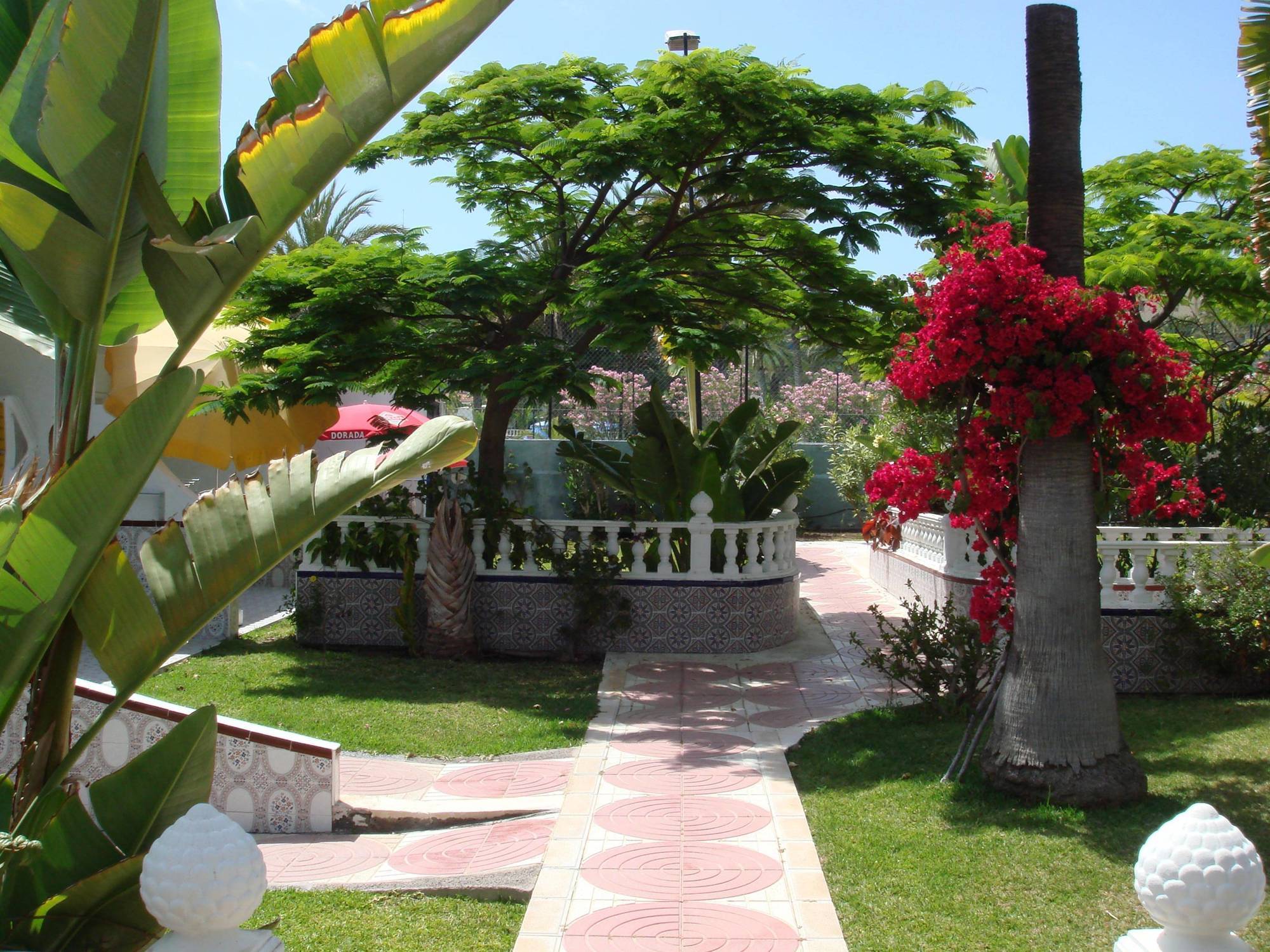 Hotel San Valentin & Terraflor Park Playa del Inglés Zewnętrze zdjęcie